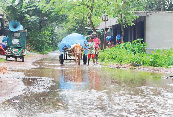 বৃষ্টির পানিতে জলাবদ্ধতার সৃষ্টি বৃষ্টির পানিতে জলাবদ্ধতার সৃষ্টি