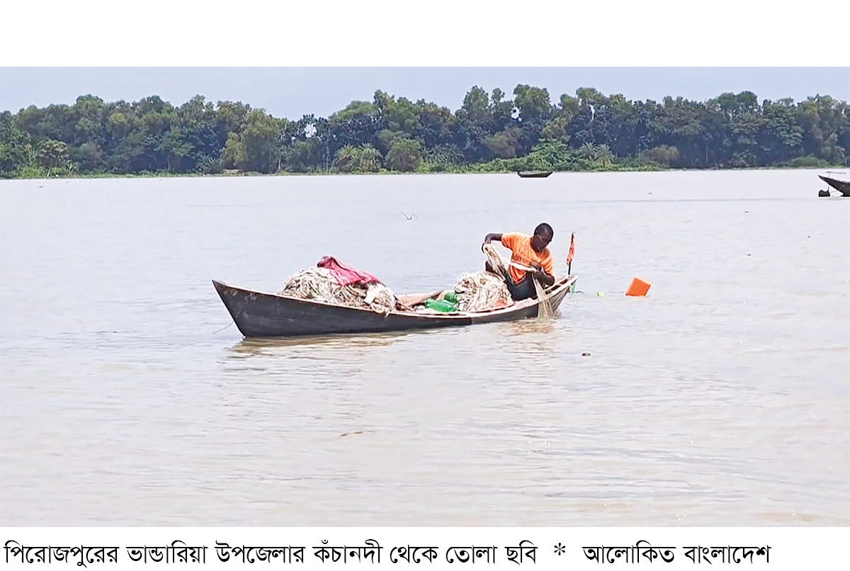 নদীতে ধরা পড়ছে না কাঙ্ক্ষিত ইলিশ নদীতে ধরা পড়ছে না কাঙ্ক্ষিত ইলিশ
