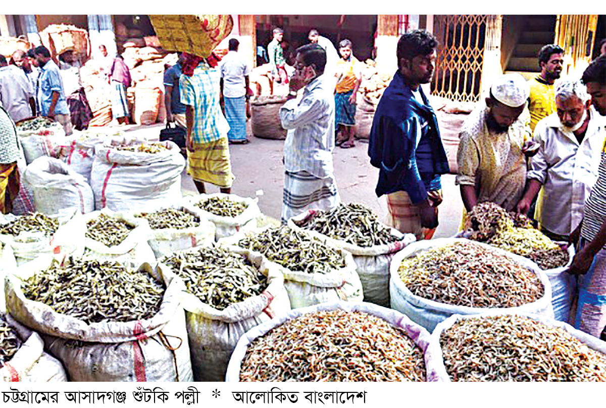 আসাদগঞ্জে দৈনিক লেনদেন হয় কোটি টাকার শুঁটকি