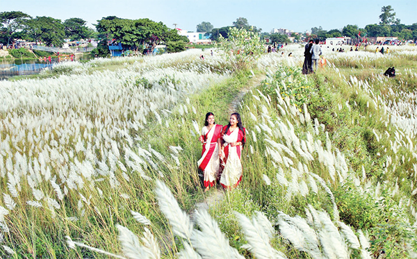 প্রকৃতির কাছে