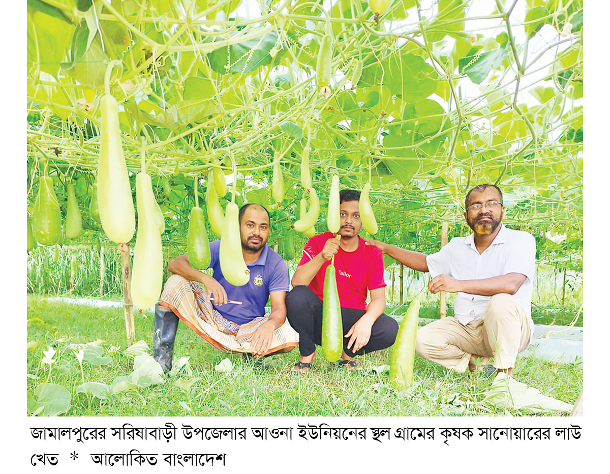 সরিষাবাড়ীতে মাচা পদ্ধতিতে সবজি চাষে বাম্পার ফলন