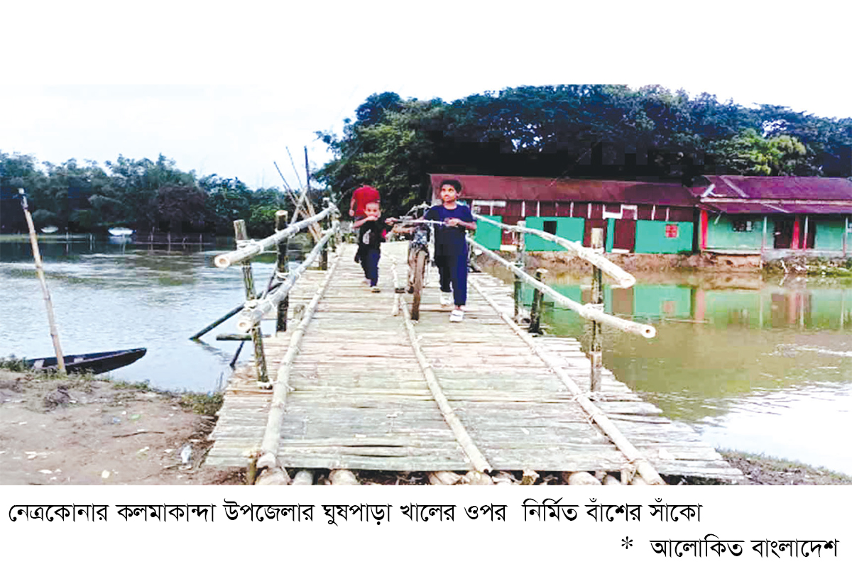 বিএনপি নেতার উদ্যোগে বাঁশের সাঁকো নির্মাণ বিএনপি নেতার উদ্যোগে বাঁশের সাঁকো নির্মাণ