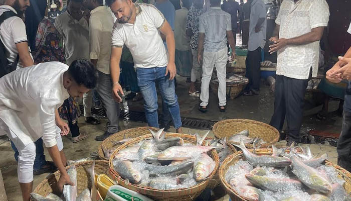 চাঁদপুরে চলতি বছর ইলিশের দাম দ্বিগুন চাঁদপুরে চলতি বছর ইলিশের দাম দ্বিগুন