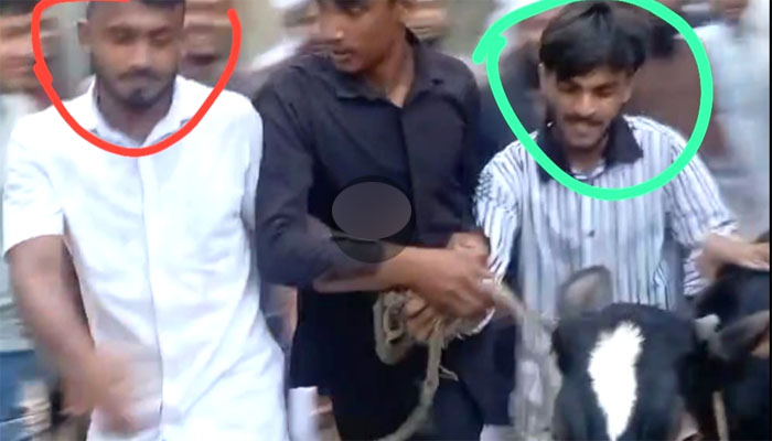 নূরাল পাগলার দরবার থেকে গরু লুটের ঘটনায় গ্রেপ্তার ১ নূরাল পাগলার দরবার থেকে গরু লুটের ঘটনায় গ্রেপ্তার ১