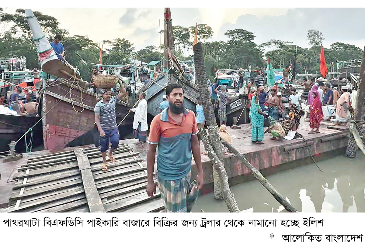 ইলিশের ভরা মৌসুমেও জেলেপল্লিতে বিষাদ ইলিশের ভরা মৌসুমেও জেলেপল্লিতে বিষাদ