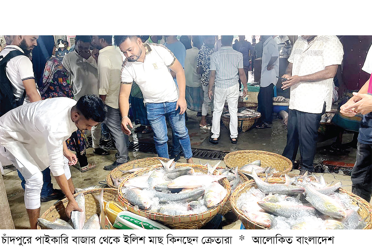 চাঁদপুরে দুই বছরের ব্যবধানে ইলিশের দাম বেড়েছে দ্বিগুণ চাঁদপুরে দুই বছরের ব্যবধানে ইলিশের দাম বেড়েছে দ্বিগুণ