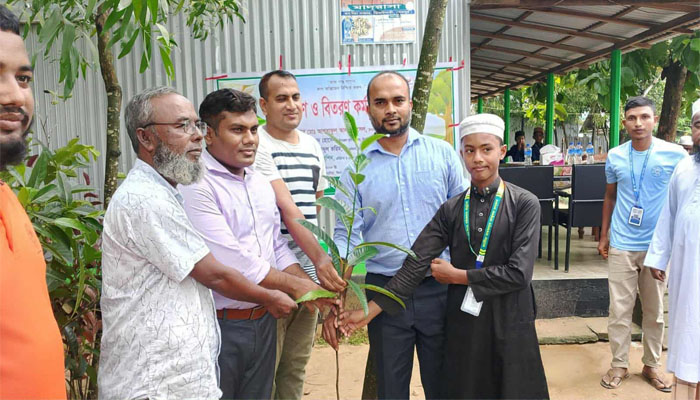 আসঝির উদ্যোগে ঝিনাইগাতীতে বৃক্ষরোপণ ও বিতরণ কার্যক্রম