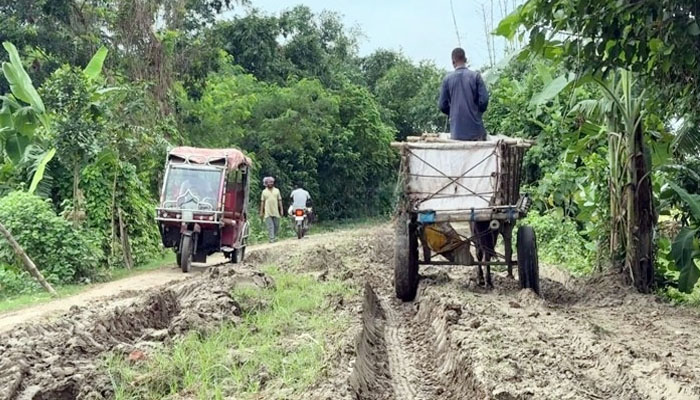 হেমায়েতপুরে সাড়ে ৩ কি.মি. বেহাল সড়ক, দুর্ভোগে এলাকাবাসী হেমায়েতপুরে সাড়ে ৩ কি.মি. বেহাল সড়ক, দুর্ভোগে এলাকাবাসী