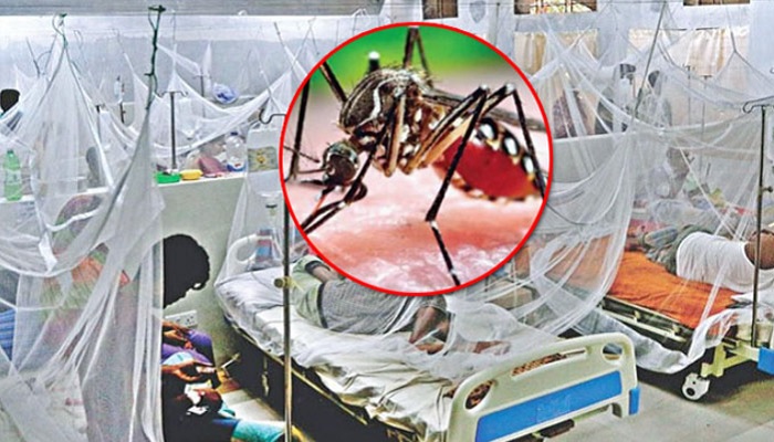 ডেঙ্গুতে আরও একজনের মৃত্যু, হাসপাতালে ৬৩২ ডেঙ্গুতে আরও একজনের মৃত্যু, হাসপাতালে ৬৩২