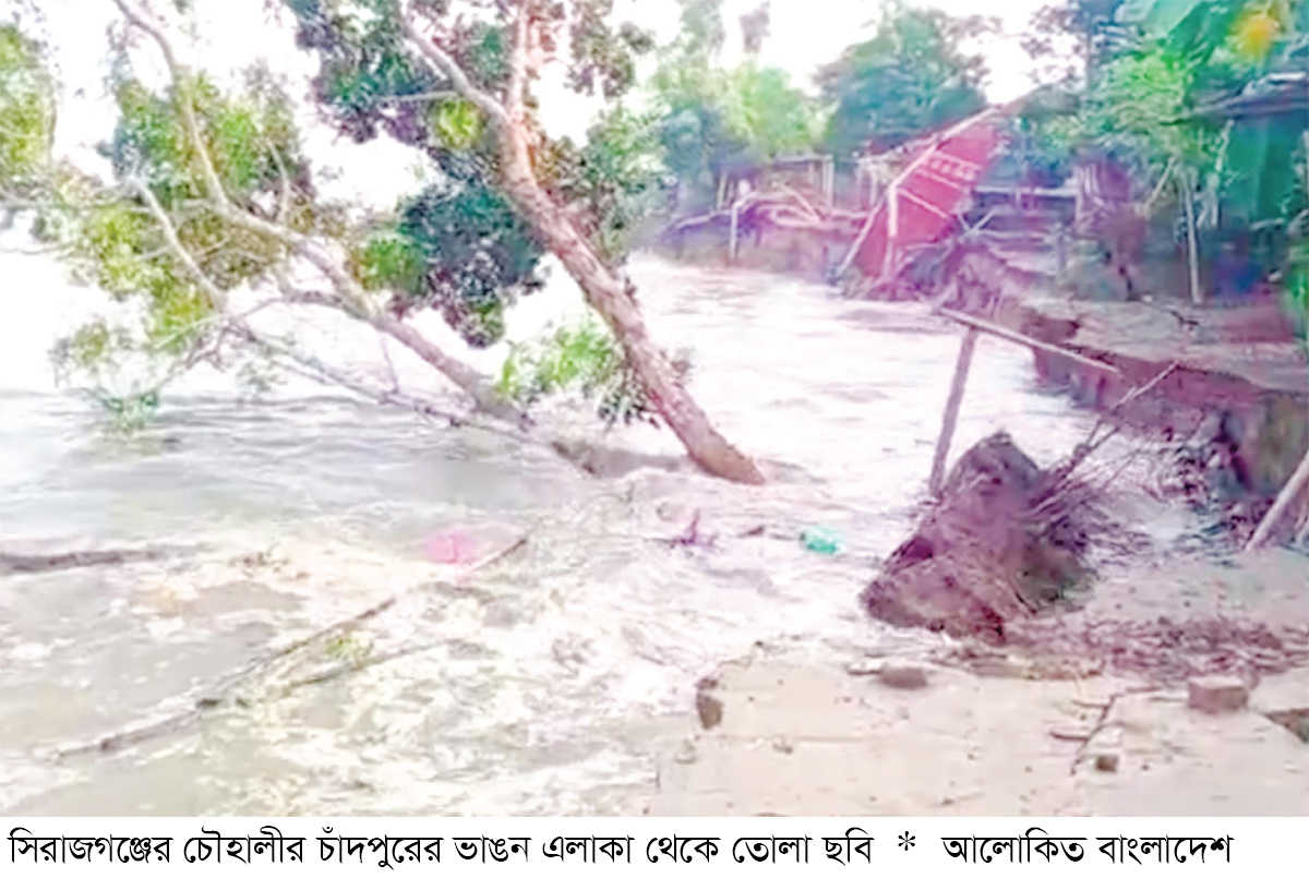 যমুনার ভাঙনে অর্ধশত ঘরবাড়ি বিলীন যমুনার ভাঙনে অর্ধশত ঘরবাড়ি বিলীন