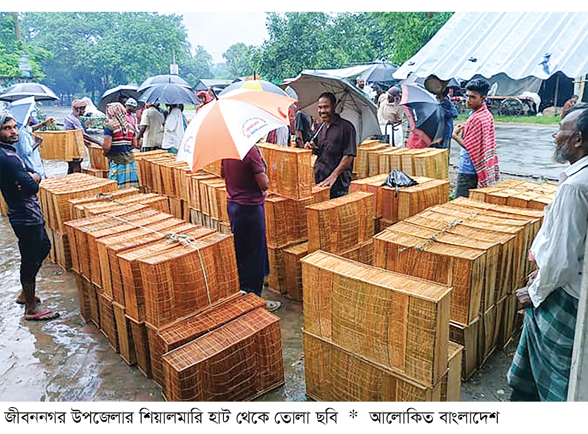 চুয়াডাঙ্গায় মাছ ধরার ‘বিত্তির’র কদর বেড়েছে চুয়াডাঙ্গায় মাছ ধরার ‘বিত্তির’র কদর বেড়েছে