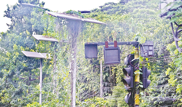 রক্ষণাবেক্ষণের অভাবে সোলার স্ট্রিট লাইটগুলো নষ্ট হতে চলেছে রক্ষণাবেক্ষণের অভাবে সোলার স্ট্রিট লাইটগুলো নষ্ট হতে চলেছে