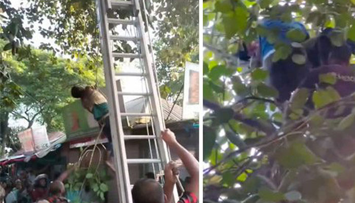 সিরাজগঞ্জে রহস্যজনক ঘটনা, গাছের মগডাল থেকে নাইটগার্ড উদ্ধার