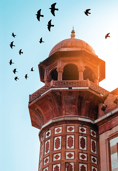 ইসলামে যেসব কারণে রিয়া নিষিদ্ধ ইসলামে যেসব কারণে রিয়া নিষিদ্ধ