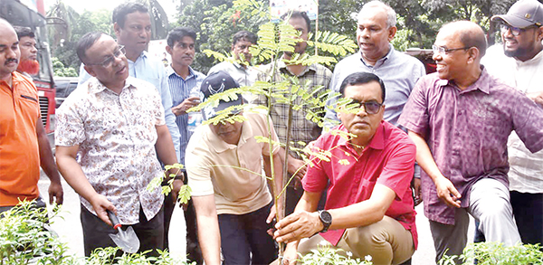 ডিএসসিসির ৩১ কিলোমিটার রোড মিডিয়ানে বৃক্ষরোপণ উদ্বোধন ডিএসসিসির ৩১ কিলোমিটার রোড মিডিয়ানে বৃক্ষরোপণ উদ্বোধন