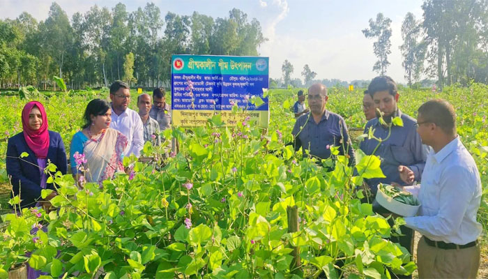 দিনাজপুরে আগাম জাতের সবজি চাষে স্বাবলম্বী কৃষকরা দিনাজপুরে আগাম জাতের সবজি চাষে স্বাবলম্বী কৃষকরা