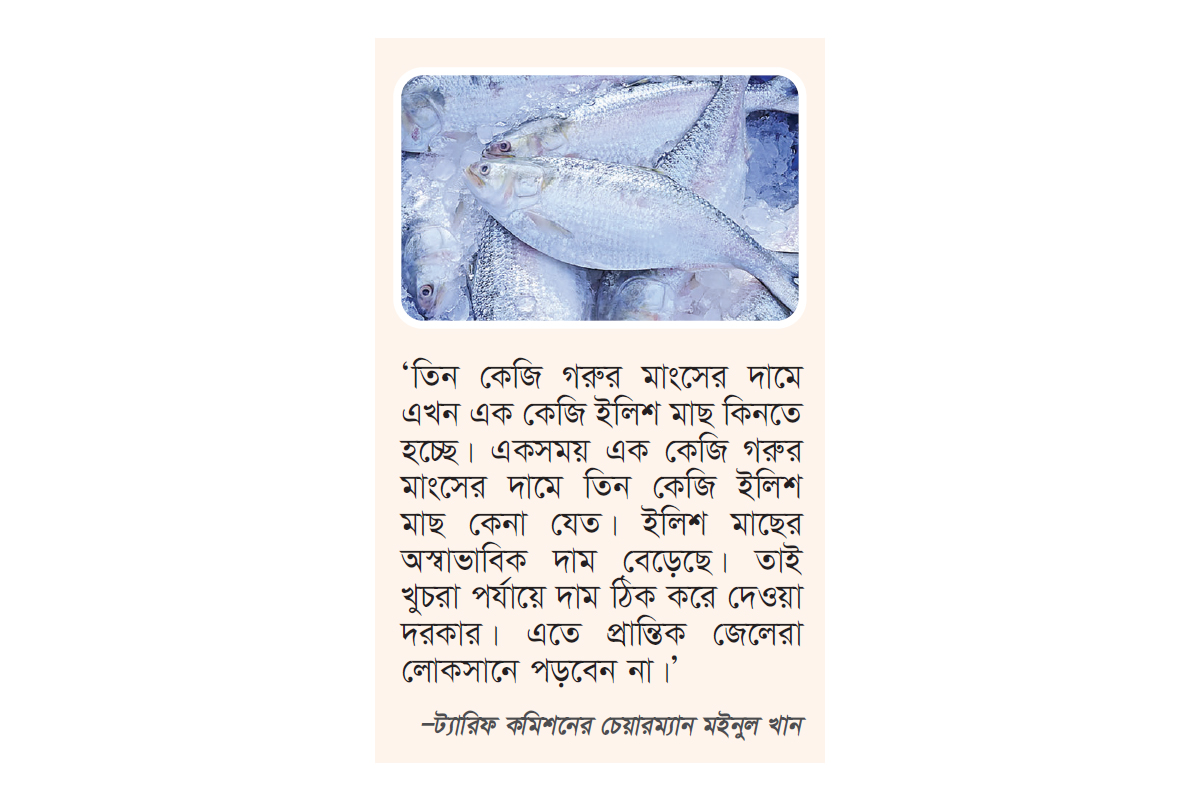ইলিশের আকার অনুযায়ী দাম ঠিক হবে, সুপারিশ ট্যারিফ কমিশনের