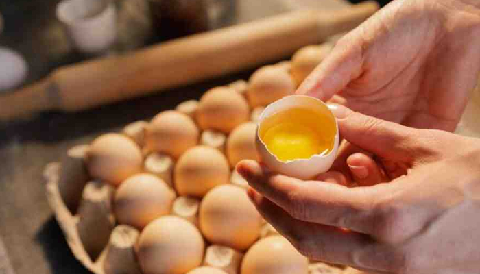 কাঁচা ডিম: উপকার নয়, বরং ক্ষতির ঝুঁকি কাঁচা ডিম: উপকার নয়, বরং ক্ষতির ঝুঁকি