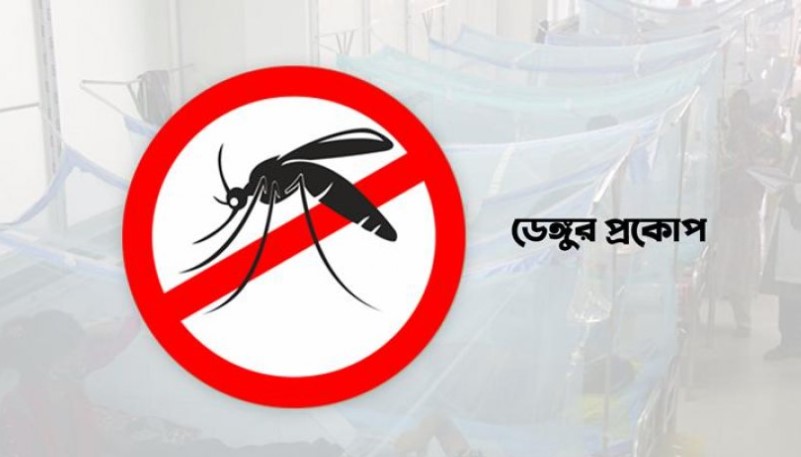 ডেঙ্গুতে আরও ৩ মৃত্যু, হাসপাতালে ভর্তি ৭৩৫ ডেঙ্গুতে আরও ৩ মৃত্যু, হাসপাতালে ভর্তি ৭৩৫