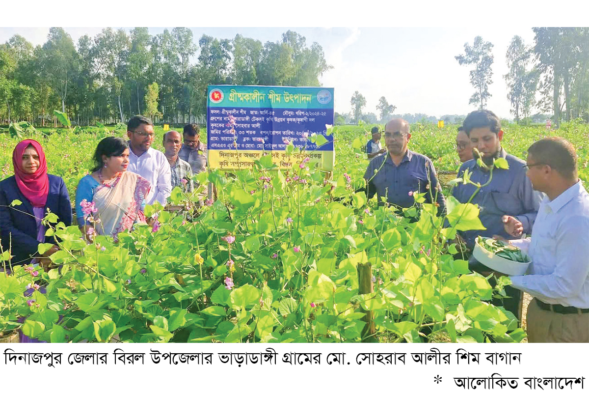 দিনাজপুরে আগাম জাতের সবজি চাষে স্বাবলম্বী কৃষকরা দিনাজপুরে আগাম জাতের সবজি চাষে স্বাবলম্বী কৃষকরা