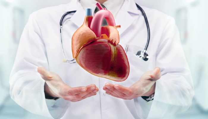 হার্টের যত্নে গড়ে তুলুন প্রতিদিনের ৭ অভ্যাস হার্টের যত্নে গড়ে তুলুন প্রতিদিনের ৭ অভ্যাস