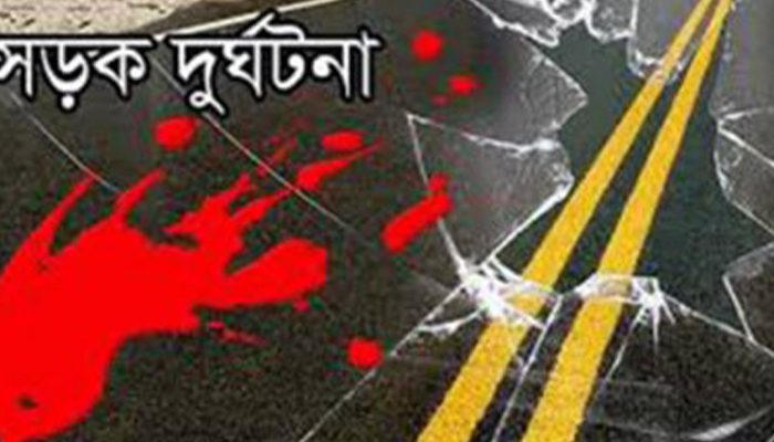 শেরপুরে ইজিবাইক চাপায় শিশু নিহত