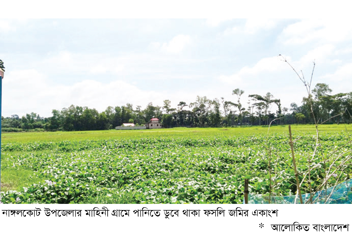 মানবসৃষ্ট জলাবদ্ধতায় কৃষকের সর্বনাশ মানবসৃষ্ট জলাবদ্ধতায় কৃষকের সর্বনাশ