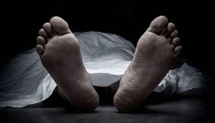 দর্শনায় ট্রেন দুর্ঘটনায় ভ্যানচালকের মৃত্যু দর্শনায় ট্রেন দুর্ঘটনায় ভ্যানচালকের মৃত্যু