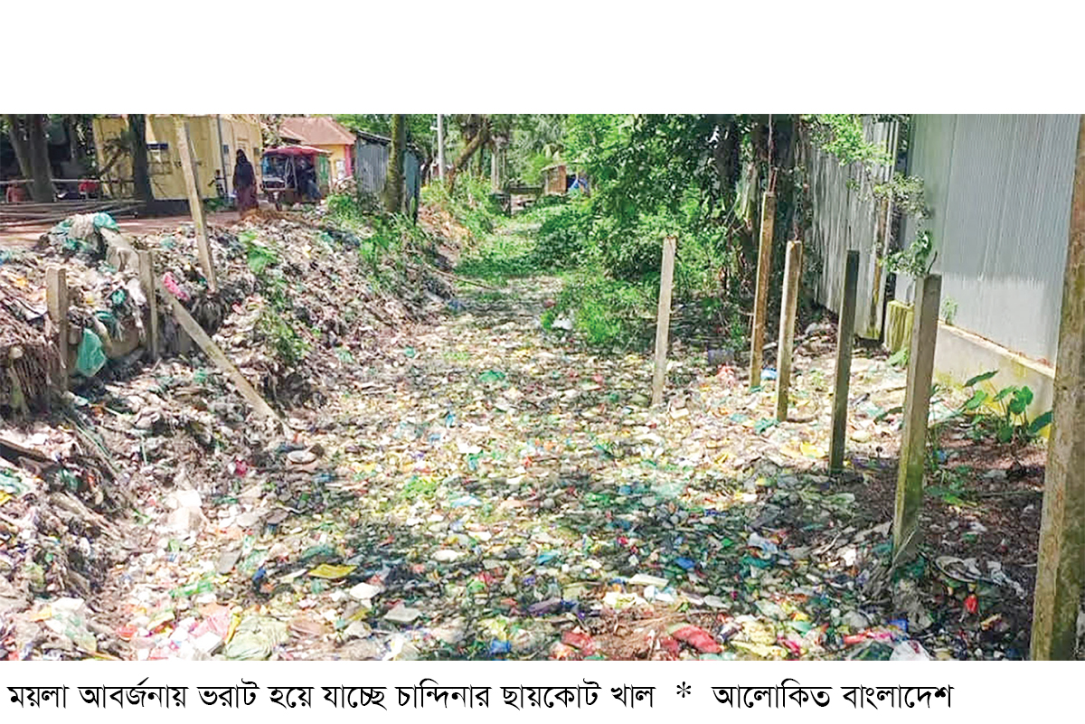 চান্দিনায় খাল দখল-ভরাটে কৃষি ও পরিবেশ হুমকির মুখে চান্দিনায় খাল দখল-ভরাটে কৃষি ও পরিবেশ হুমকির মুখে
