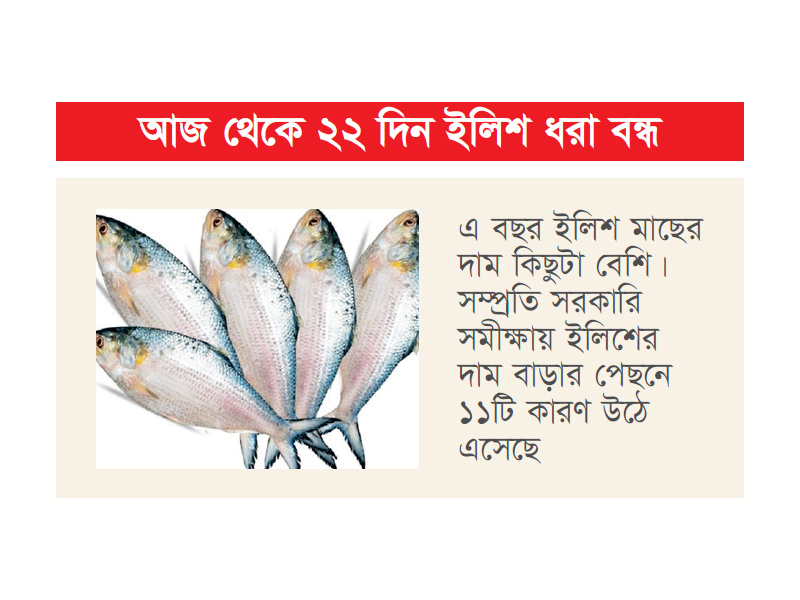 দাদন ব্যবসায়ীদের কারণে ইলিশের দাম আকাশছোঁয়া দাদন ব্যবসায়ীদের কারণে ইলিশের দাম আকাশছোঁয়া