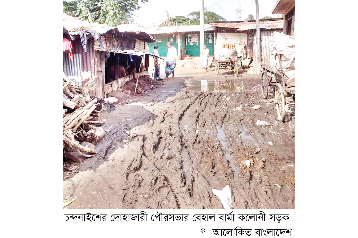 বার্মা কলোনী সড়কে সীমাহীন দুর্ভোগ