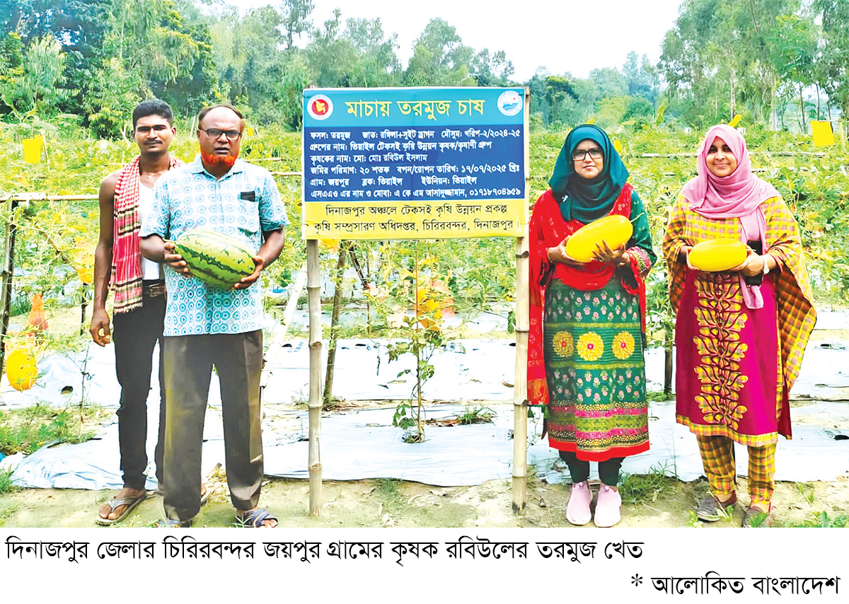 দিনাজপুরে মাচা পদ্ধতি তরমুজ চাষে বাজিমাত দিনাজপুরে মাচা পদ্ধতি তরমুজ চাষে বাজিমাত