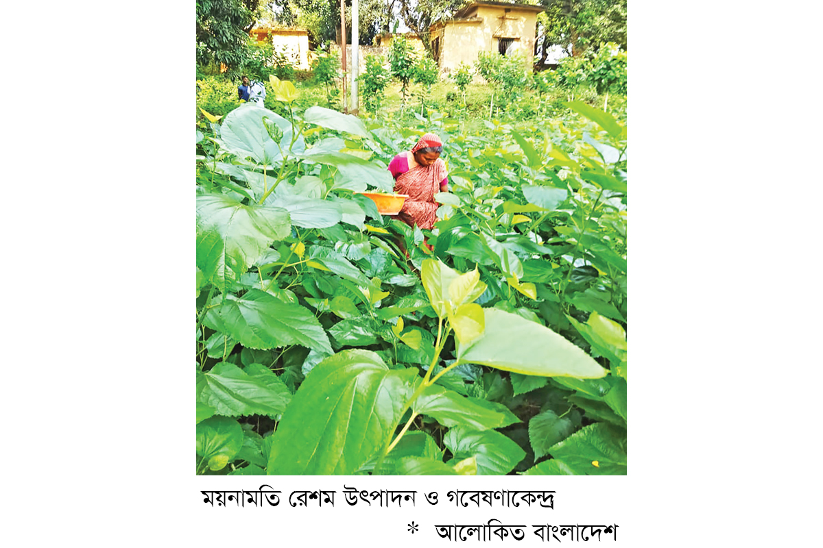 ময়নামতি রেশম উৎপাদন ও গবেষণাকেন্দ্রে নানা সংকট ময়নামতি রেশম উৎপাদন ও গবেষণাকেন্দ্রে নানা সংকট