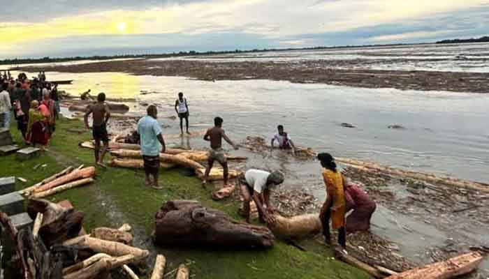 কালজানি নদীতে ভেসে আসছে হাজার হাজার গাছের গুড়ি