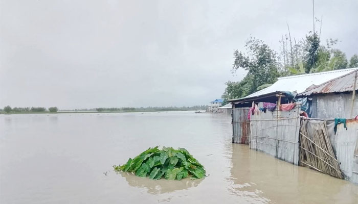 লালমনিরহাটে বন্যায় লাখো মানুষ পানিবন্দি