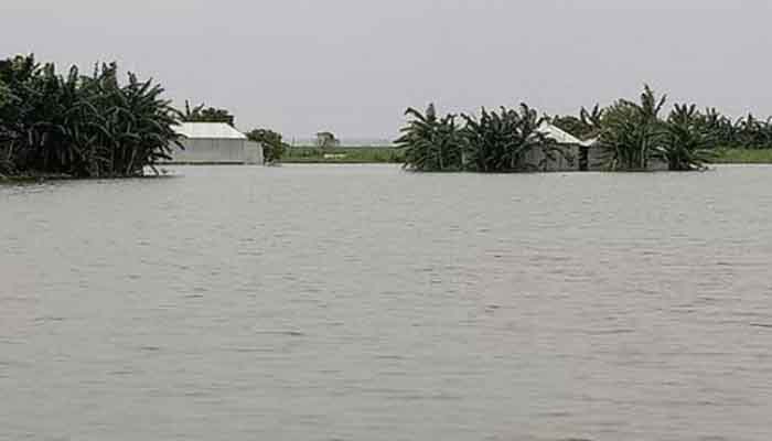 যমুনায় ফের বাড়ছে পানি, বন্যার শঙ্কা যমুনায় ফের বাড়ছে পানি, বন্যার শঙ্কা