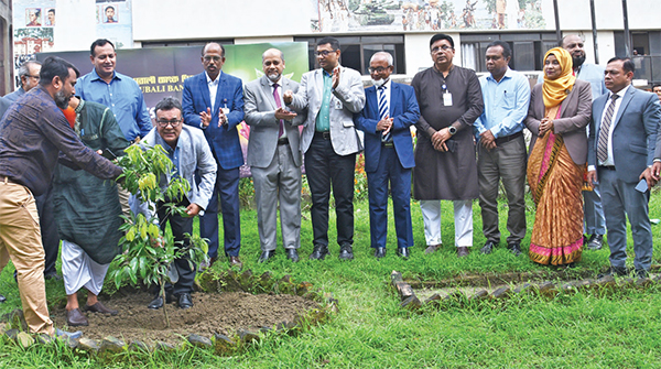 পূবালী ব্যাংকের উদ্যোগে বৃক্ষরোপণ কর্মসূচি