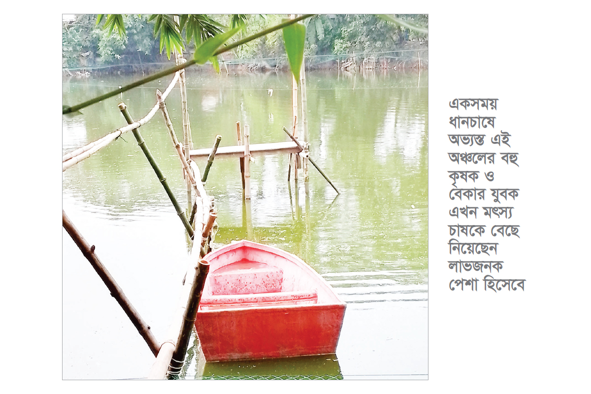 চান্দিনায় মাছ চাষে নীরব বিপ্লব চান্দিনায় মাছ চাষে নীরব বিপ্লব