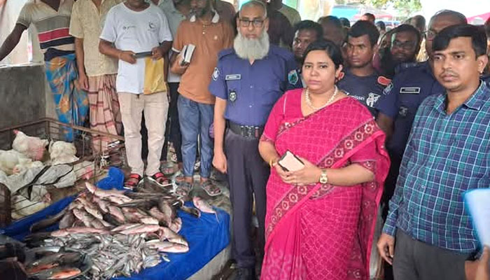 নিষিদ্ধ পিরানহা মাছ বিক্রি, ব্যবসায়ীকে জরিমানা নিষিদ্ধ পিরানহা মাছ বিক্রি, ব্যবসায়ীকে জরিমানা