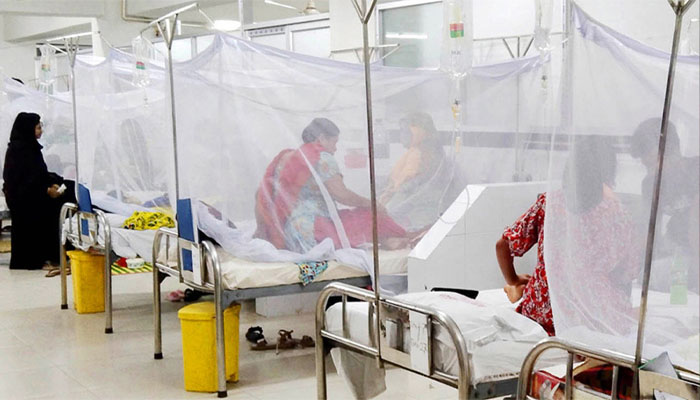 ডেঙ্গুতে ২৪ ঘণ্টায় ৪ মৃত্যু, ৭৮১ জন হাসপাতালে ডেঙ্গুতে ২৪ ঘণ্টায় ৪ মৃত্যু, ৭৮১ জন হাসপাতালে