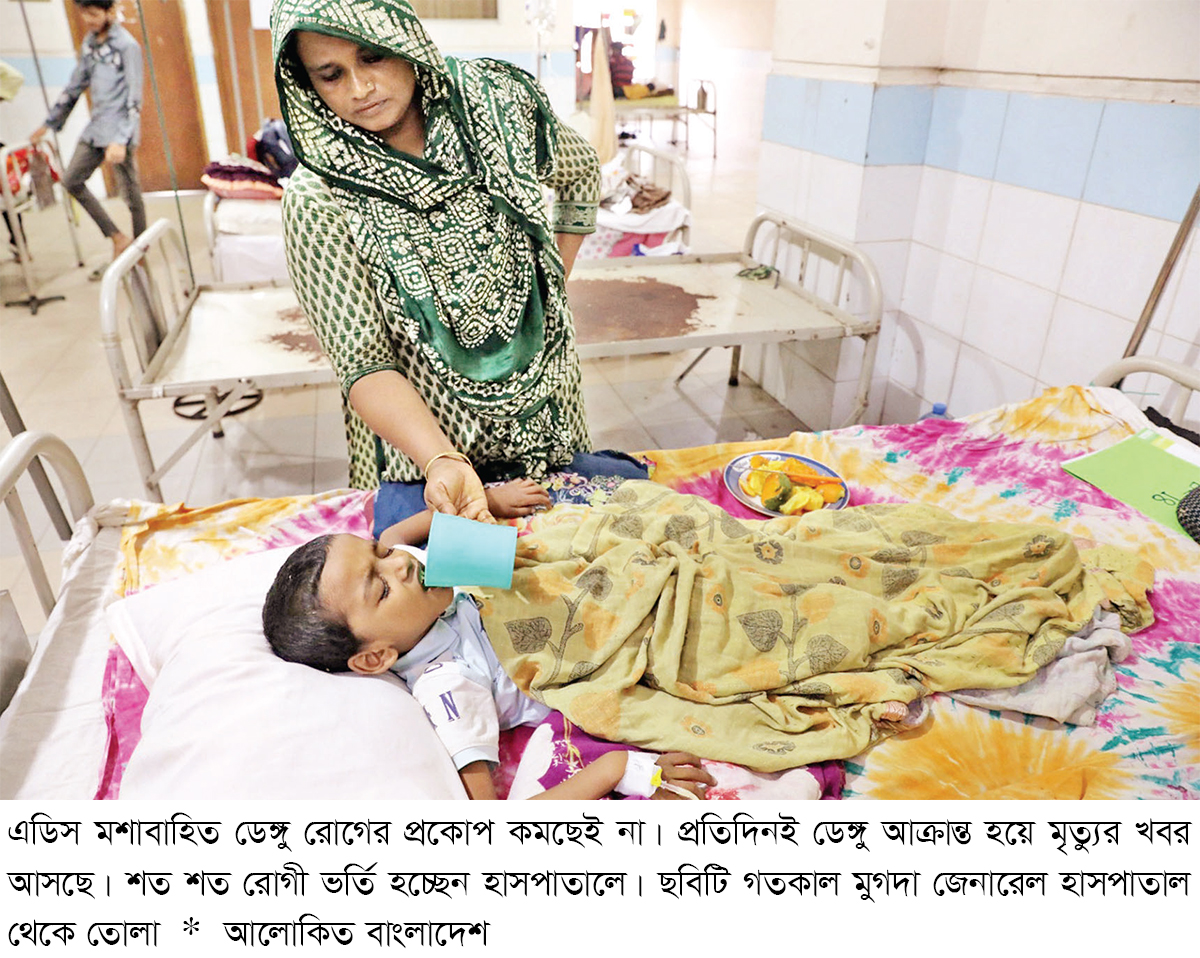 চলতি বছর ডেঙ্গুতে ২২০ জনের মৃত্যু চলতি বছর ডেঙ্গুতে ২২০ জনের মৃত্যু