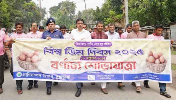 বিশ্ব ডিম দিবসে চুয়াডাঙ্গায় বর্ণাঢ্য শোভাযাত্রা ও আলোচনা সভা বিশ্ব ডিম দিবসে চুয়াডাঙ্গায় বর্ণাঢ্য শোভাযাত্রা ও আলোচনা সভা