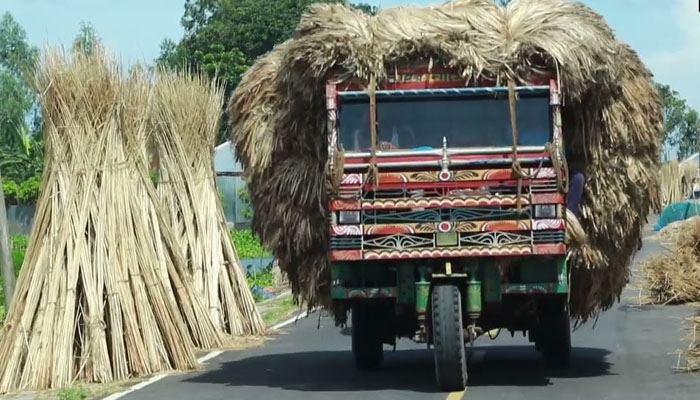 গাজনার বিলে সড়ক উন্নয়নে বদলে গেছে ১০ গ্রামের চিত্র