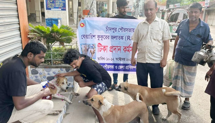 চাঁদপুর পৌরসভায় পথকুকুরকে জলাতঙ্ক টিকা প্রদান চাঁদপুর পৌরসভায় পথকুকুরকে জলাতঙ্ক টিকা প্রদান