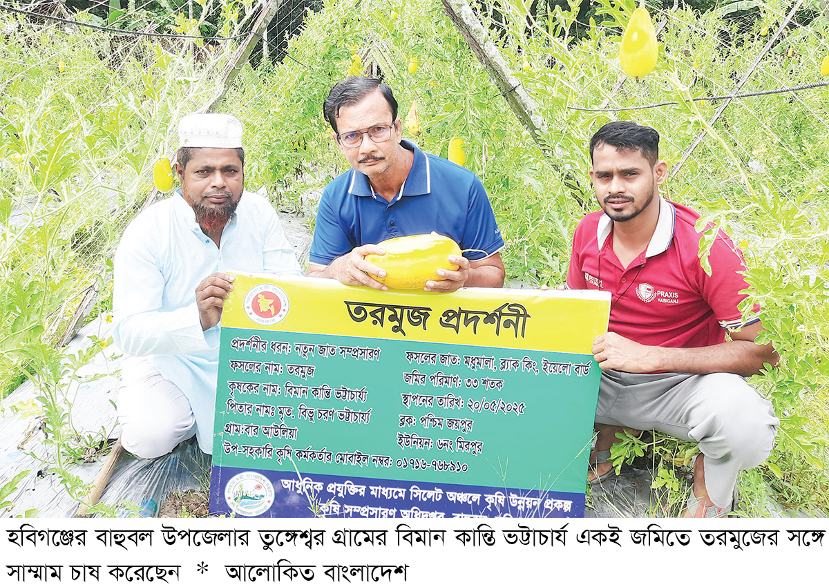 রঙিন তরমুজের সঙ্গে সাম্মাম চাষে সফলতা রঙিন তরমুজের সঙ্গে সাম্মাম চাষে সফলতা