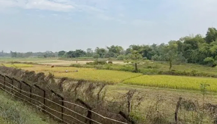 চোর সন্দেহে ত্রিপুরায় ৩ বাংলাদেশিকে হত্যা চোর সন্দেহে ত্রিপুরায় ৩ বাংলাদেশিকে হত্যা