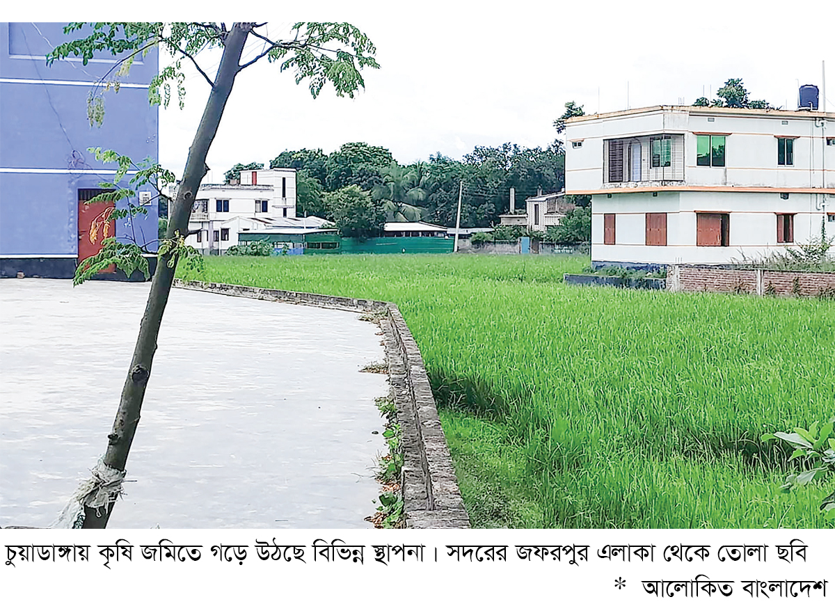 চুয়াডাঙ্গায় এক দশকে কৃষিজমি কমেছে ৫ হাজার হেক্টর চুয়াডাঙ্গায় এক দশকে কৃষিজমি কমেছে ৫ হাজার হেক্টর