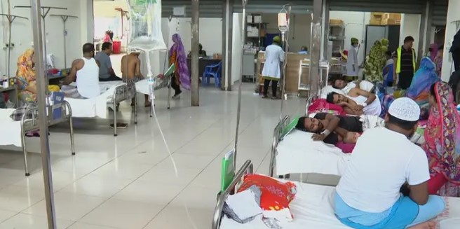 ২৪ ঘণ্টায় ডেঙ্গু আক্রান্ত হয়ে হাসপাতালে ভর্তি ৫১০ ২৪ ঘণ্টায় ডেঙ্গু আক্রান্ত হয়ে হাসপাতালে ভর্তি ৫১০