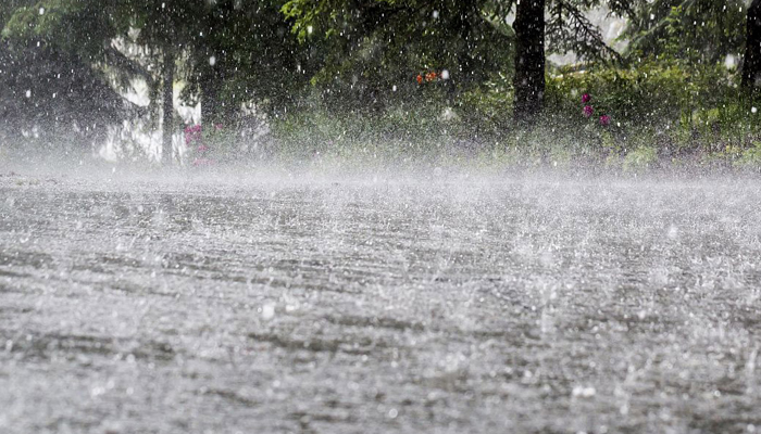 নিম্নচাপের আভাস, আগামীকাল থেকে বাড়তে পারে বৃষ্টি নিম্নচাপের আভাস, আগামীকাল থেকে বাড়তে পারে বৃষ্টি