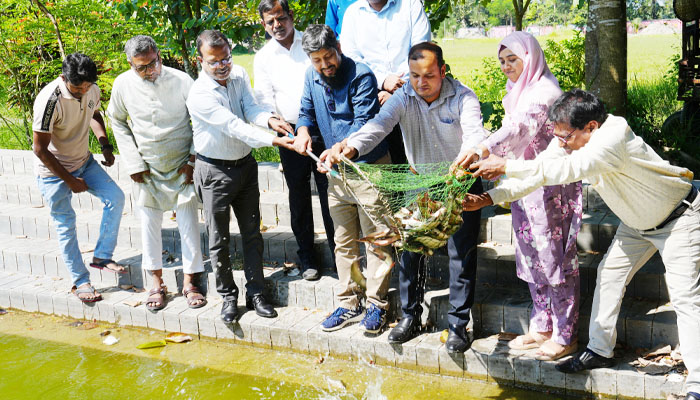 পাবিপ্রবির লেকে ১৪০ কেজি মাছের পোনা অবমুক্ত পাবিপ্রবির লেকে ১৪০ কেজি মাছের পোনা অবমুক্ত